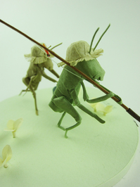 釣り　6.jpg